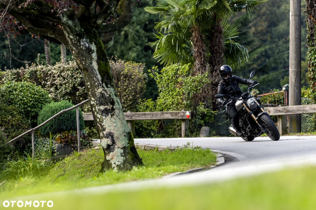 Benelli Leoncino - 31