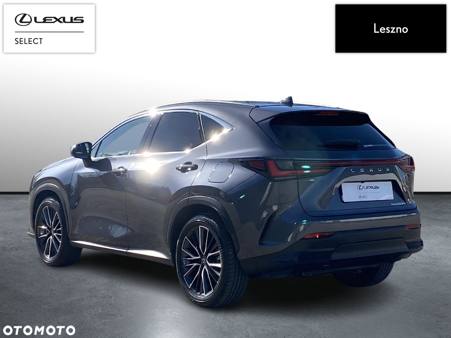 Lexus NX - 6