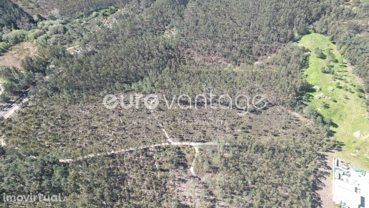 Terreno na Barosa, em Leiria - Grande imagem: 5/14