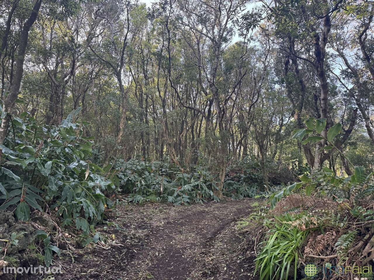 Venda Prédio - Grande imagem: 4/35