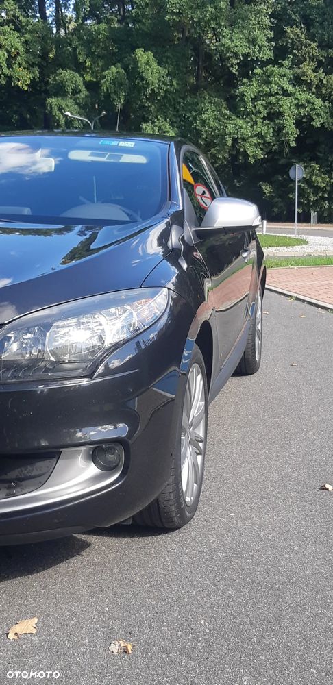 Renault Megane - 18