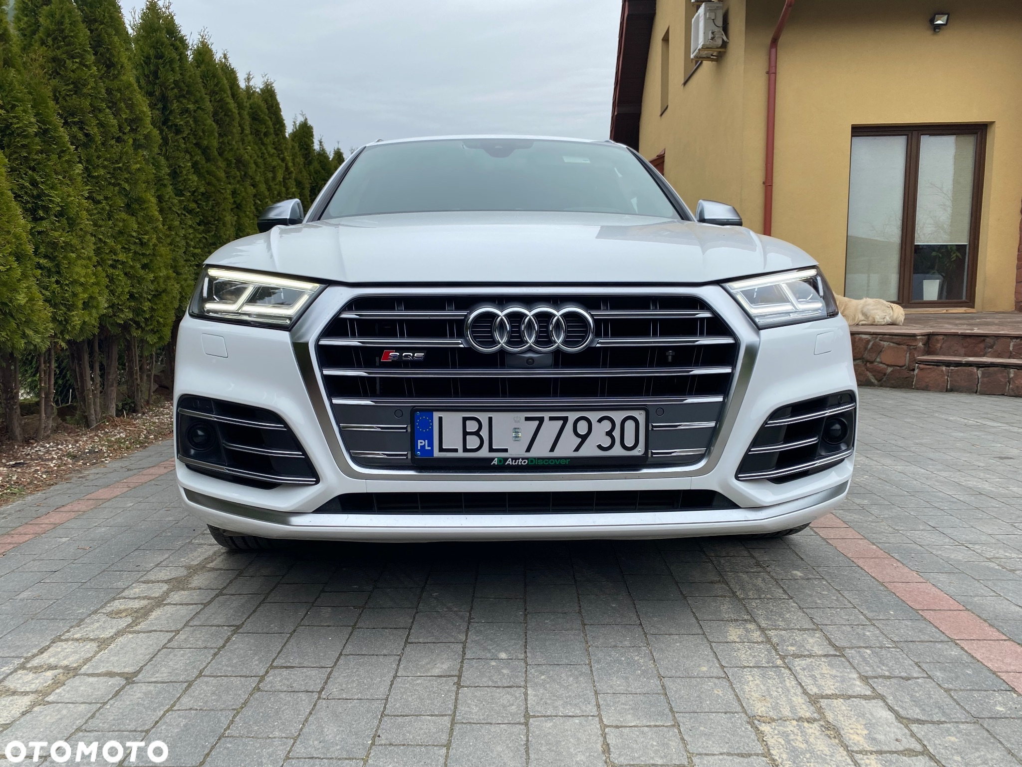 Audi SQ5 3.0 TFSI Quattro Tiptronic - 6