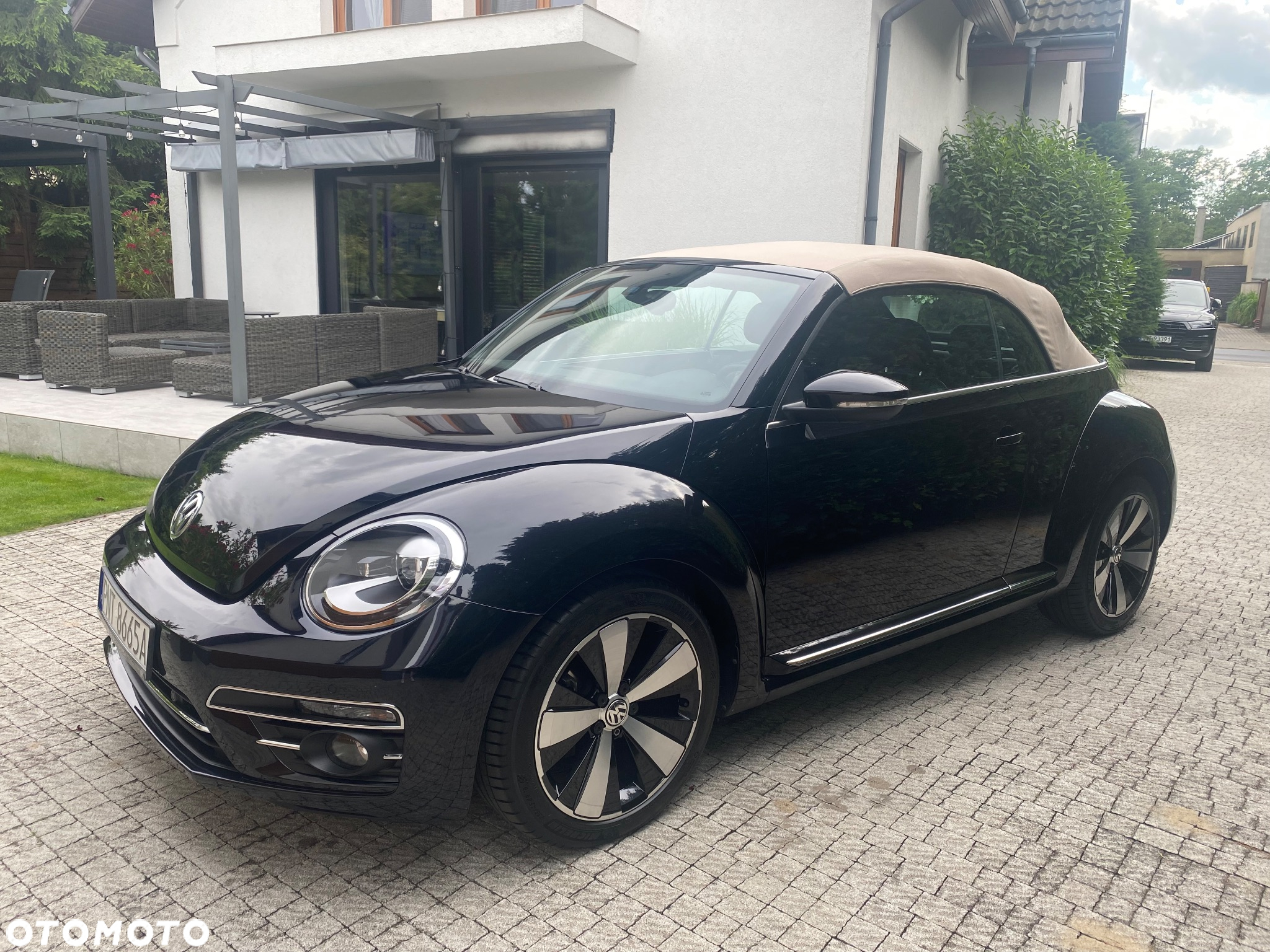 Volkswagen Beetle - 10