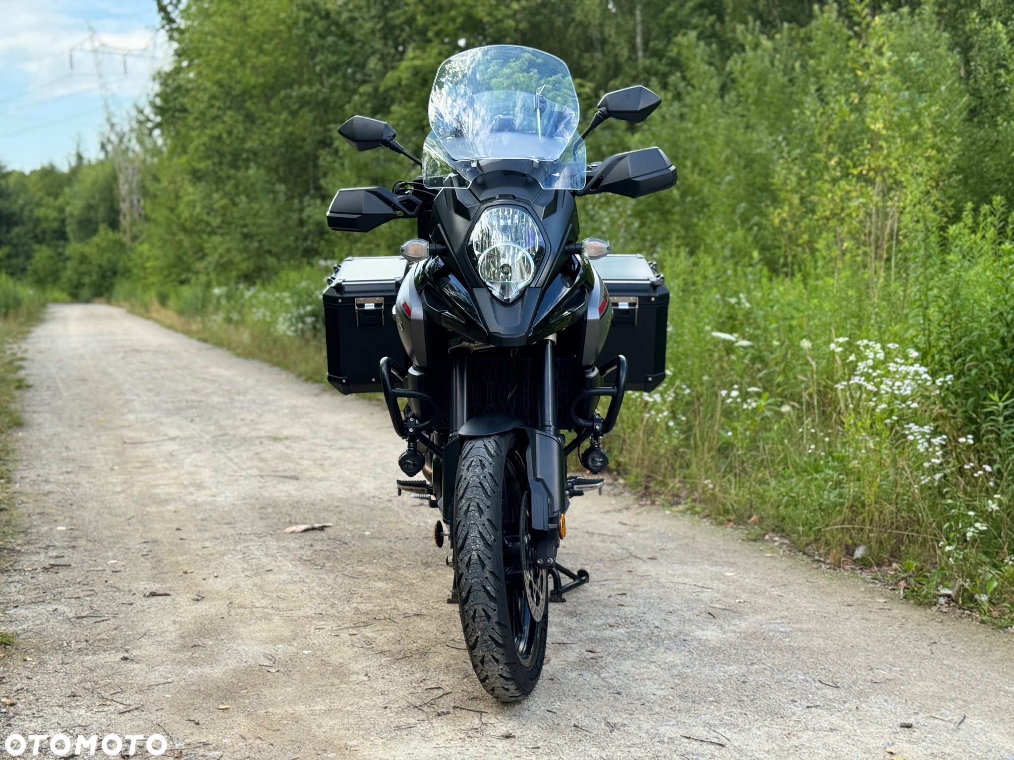 Suzuki V-STROM - 10