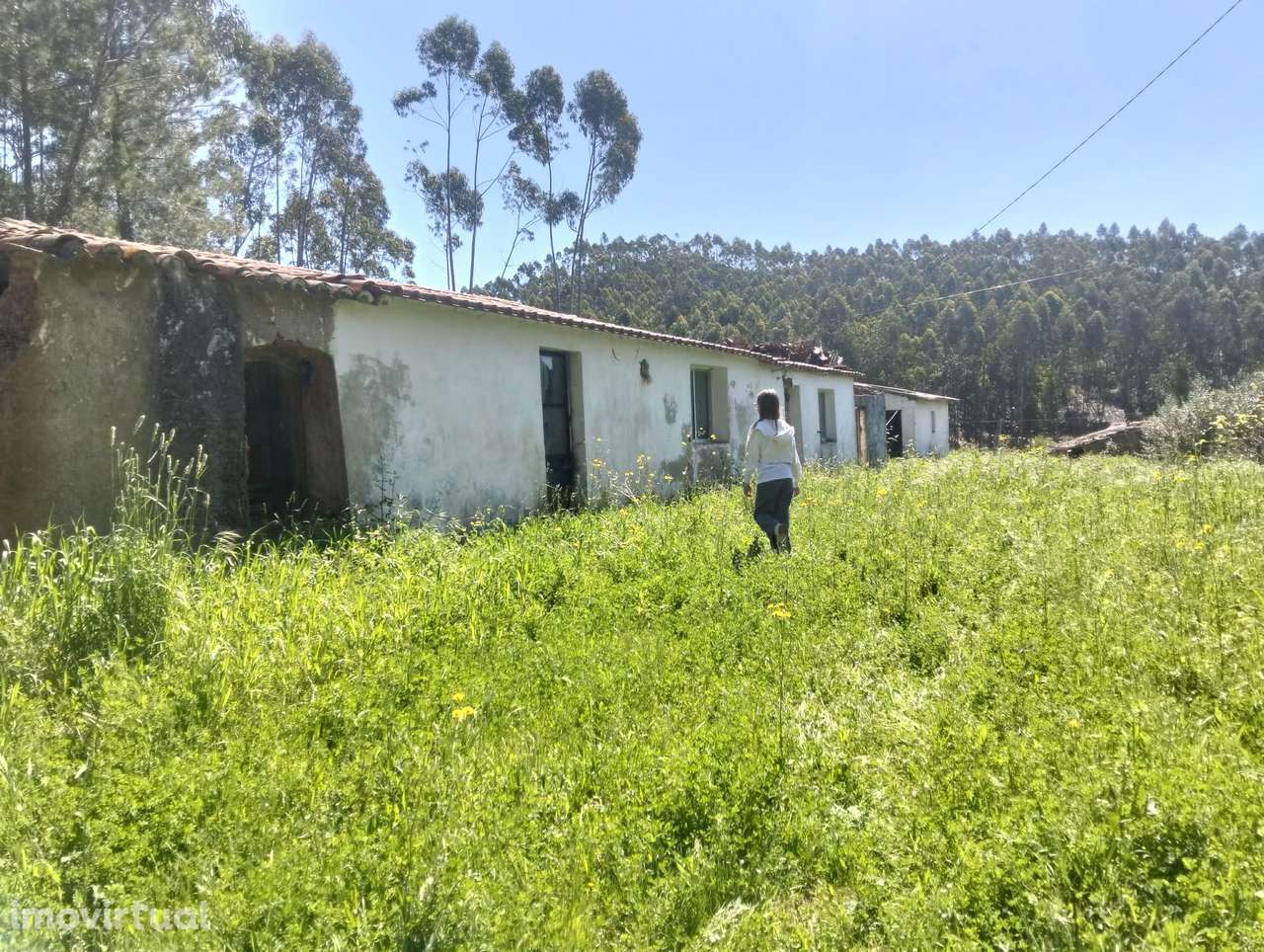 Moradia T4 para remodelação completa, Corte Cibrão de Baixo -Marmelete - Grande imagem: 3/8