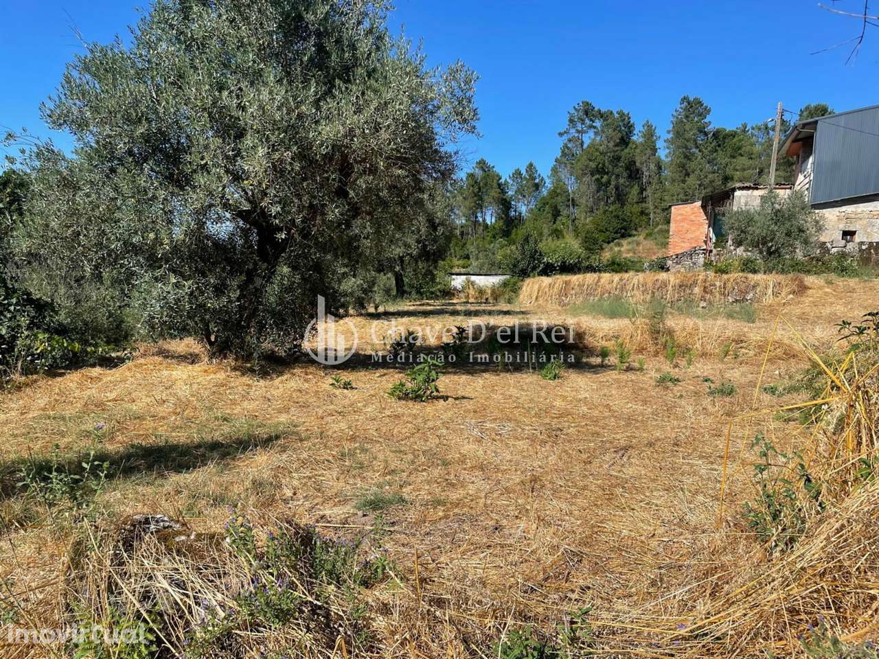 Terreno  Venda em Santar e Moreira,Nelas - Grande imagem: 3/18