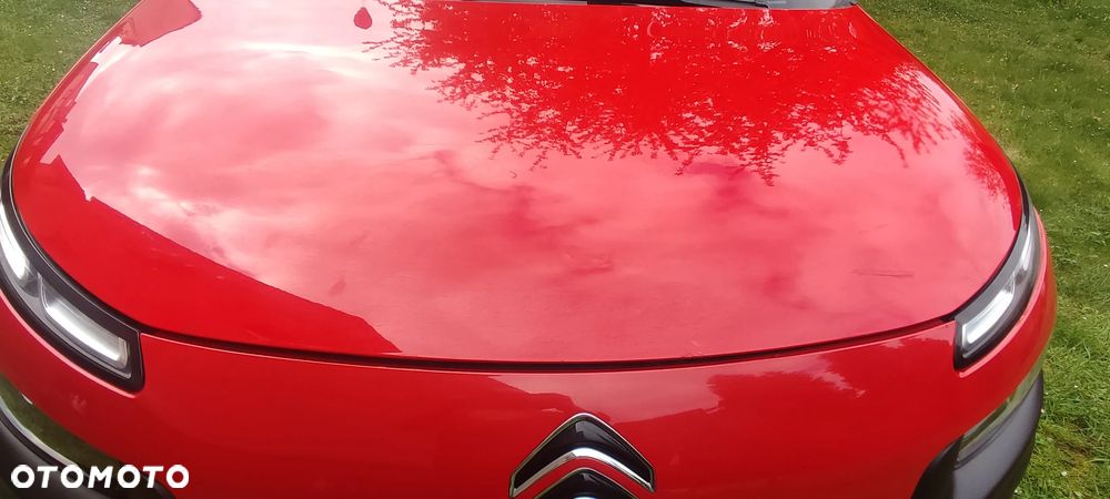 Citroën C4 Cactus 1.2 PureTech Shine - 7