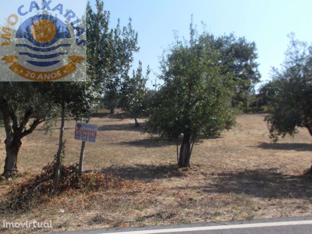 Terreno para construção. - Grande imagem: 2/3