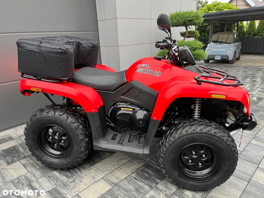 Arctic Cat Inny