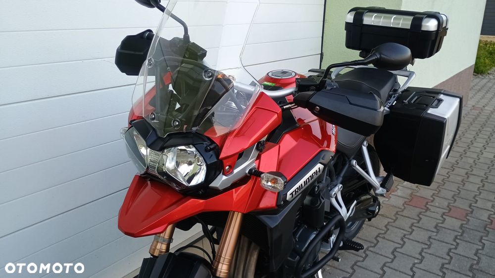 Triumph Tiger - 14