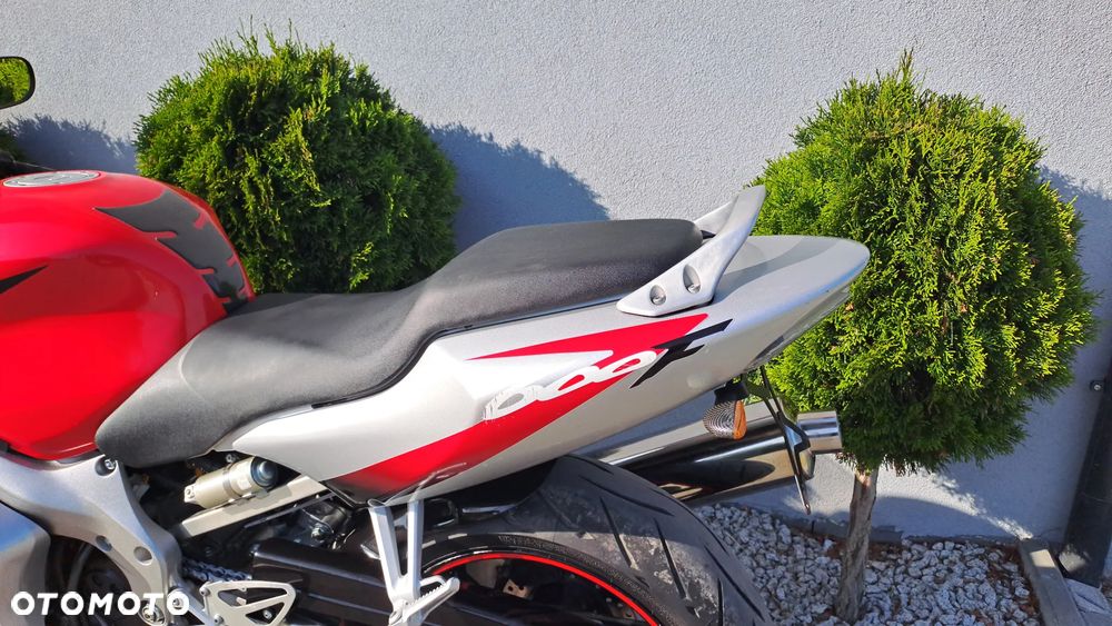 Honda CBR - 24