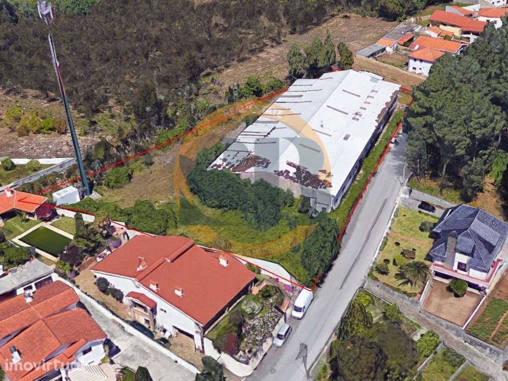 Armazém Macieira de Cambra Vale de Cambra - Grande imagem: 5/6