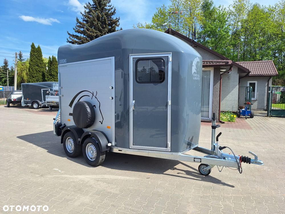 Cheval Liberte Gold Origin Debon - 6