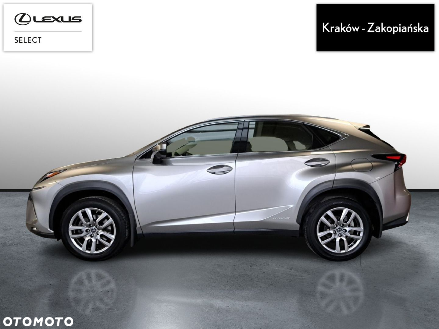 Lexus NX - 4