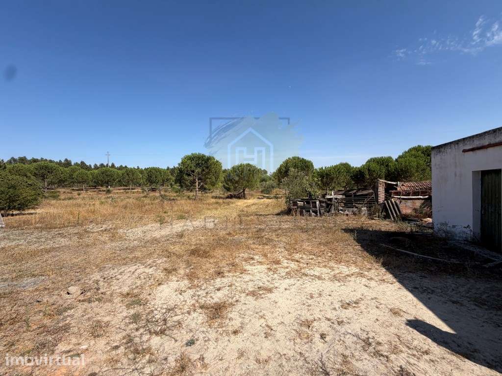 Terreno com 21.250m2 e construções Existentes - Canha, Montijo - Grande imagem: 4/14