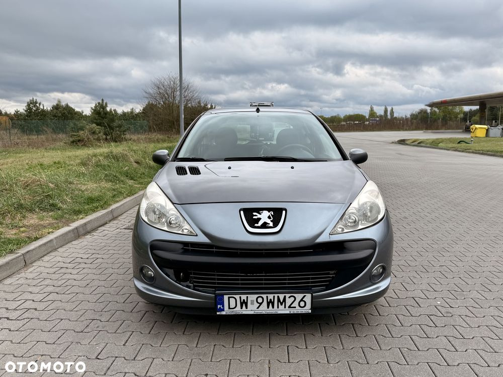 Peugeot 206 plus 60 - 10