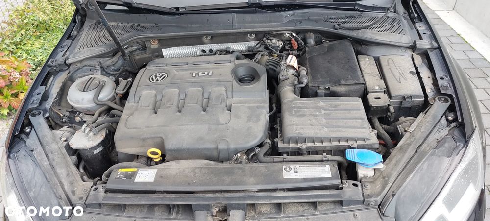 Volkswagen Golf - 17