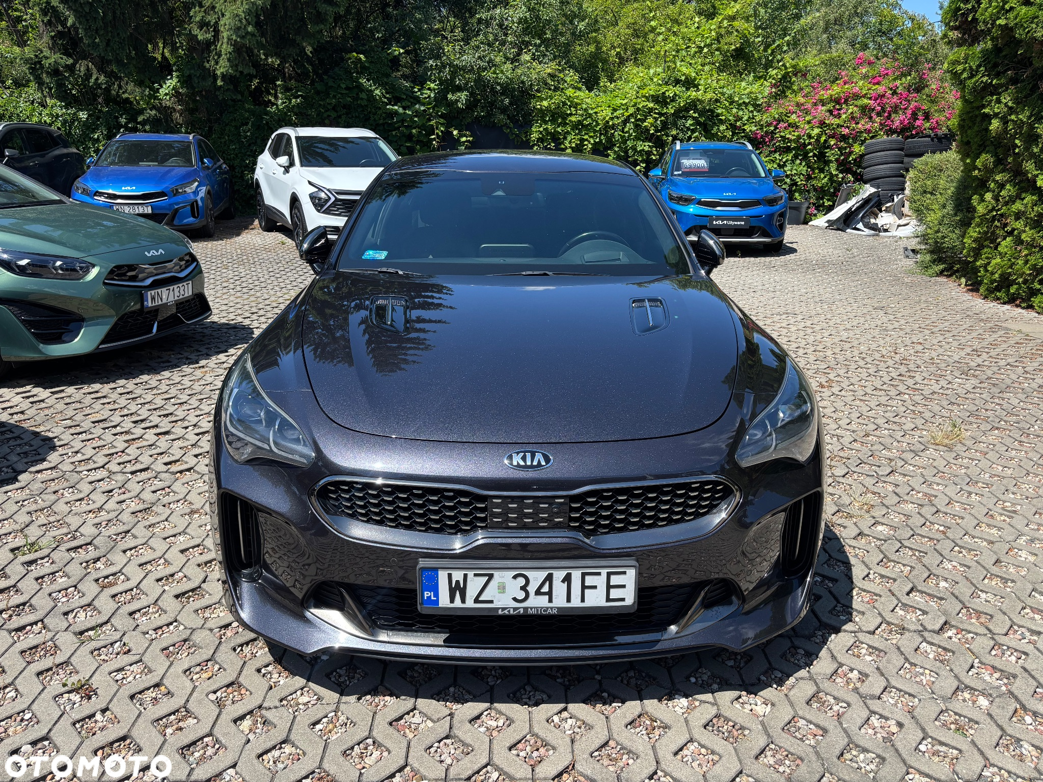 Kia Stinger 3.3 T-GDI V6 GT AWD - 2