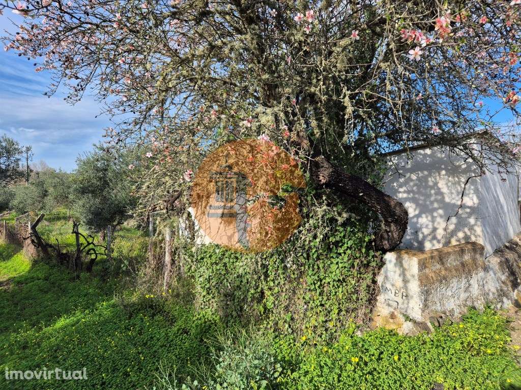 Terreno em Alcoutim, muito perto do Rio Guadiana, com viabilidade d... - Grande imagem: 2/15