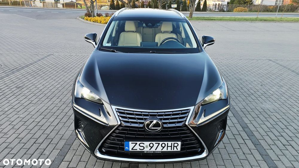 Lexus NX 300 Comfort AWD - 20