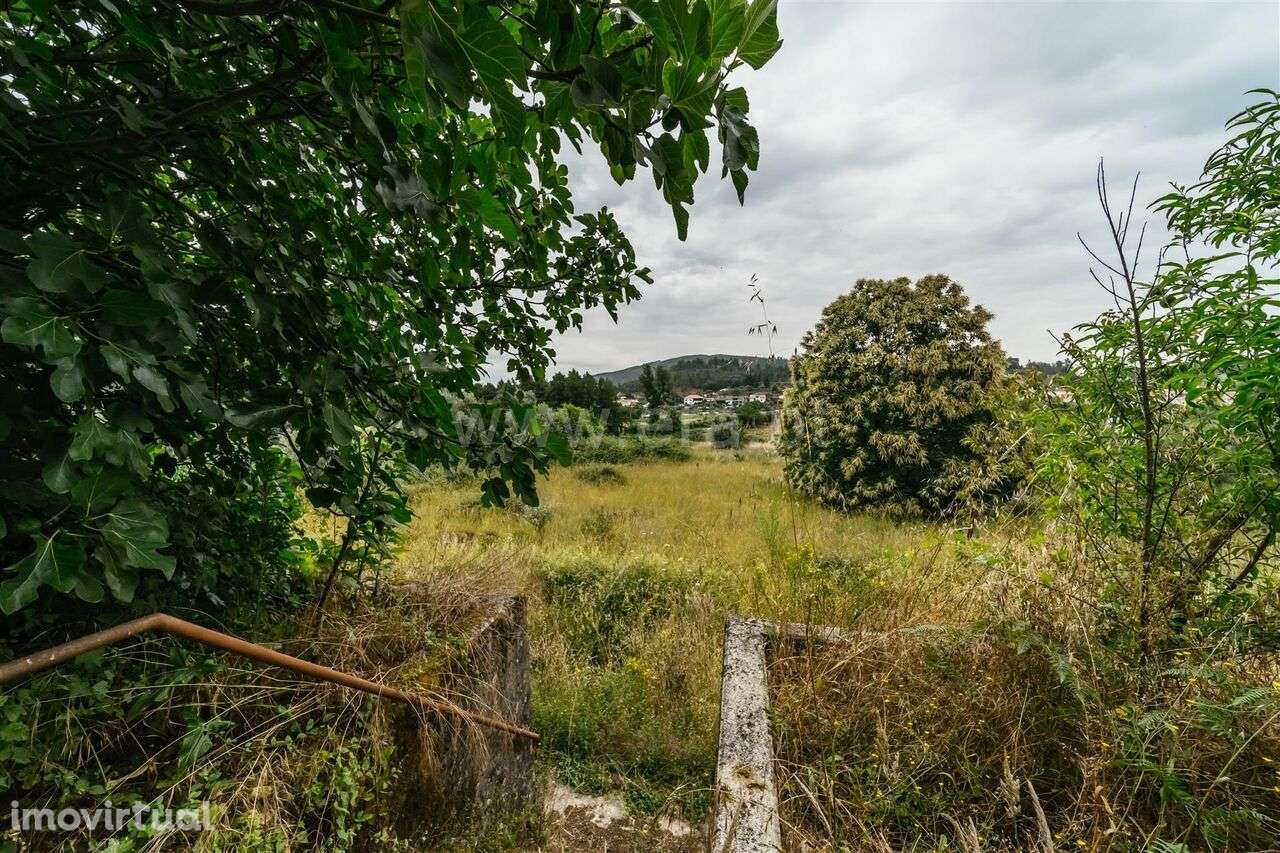 Quintinha T3 / Fundão, Castelejo - Grande imagem: 5/16