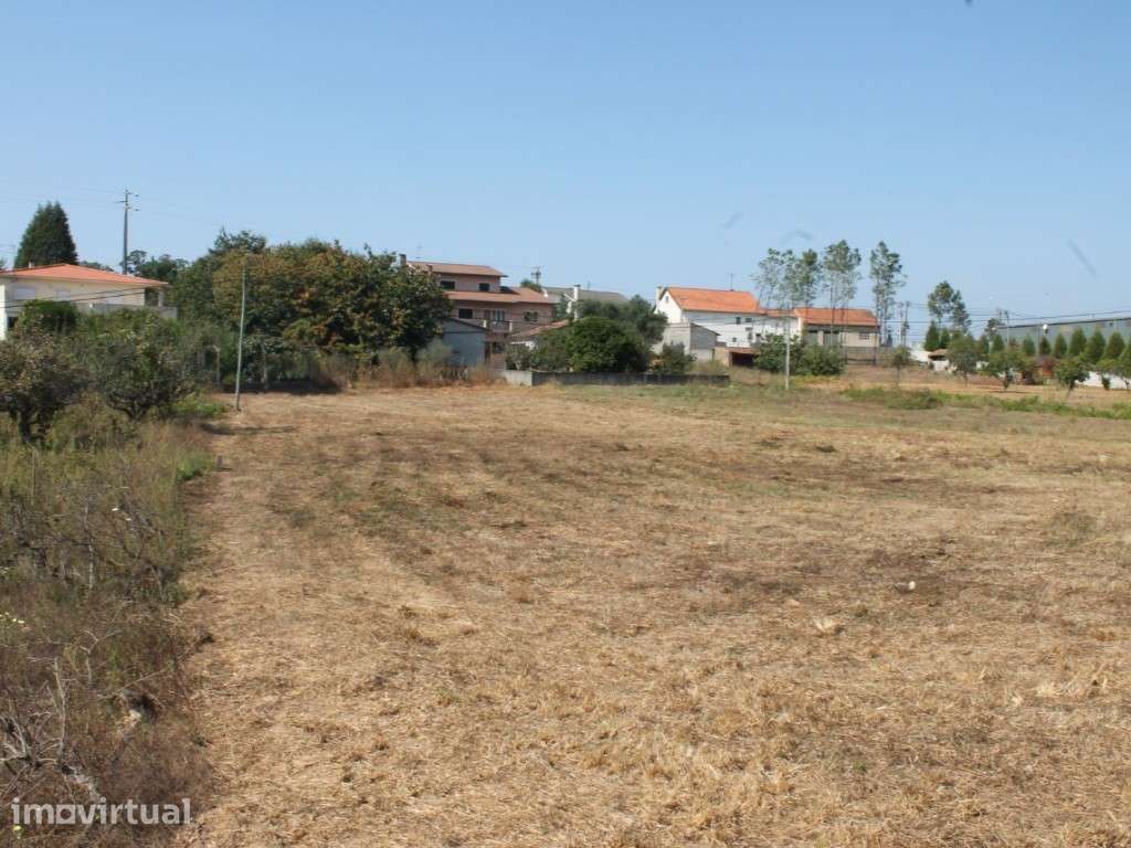 Terreno - Milagres - Grande imagem: 3/3