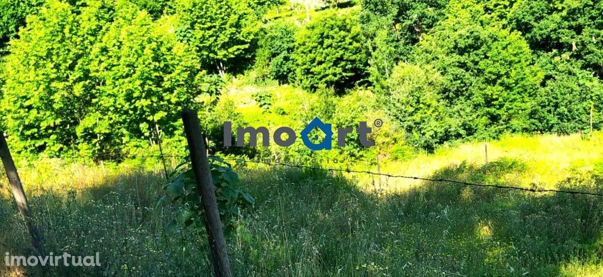 Terreno com nascente de Água! - Grande imagem: 3/21