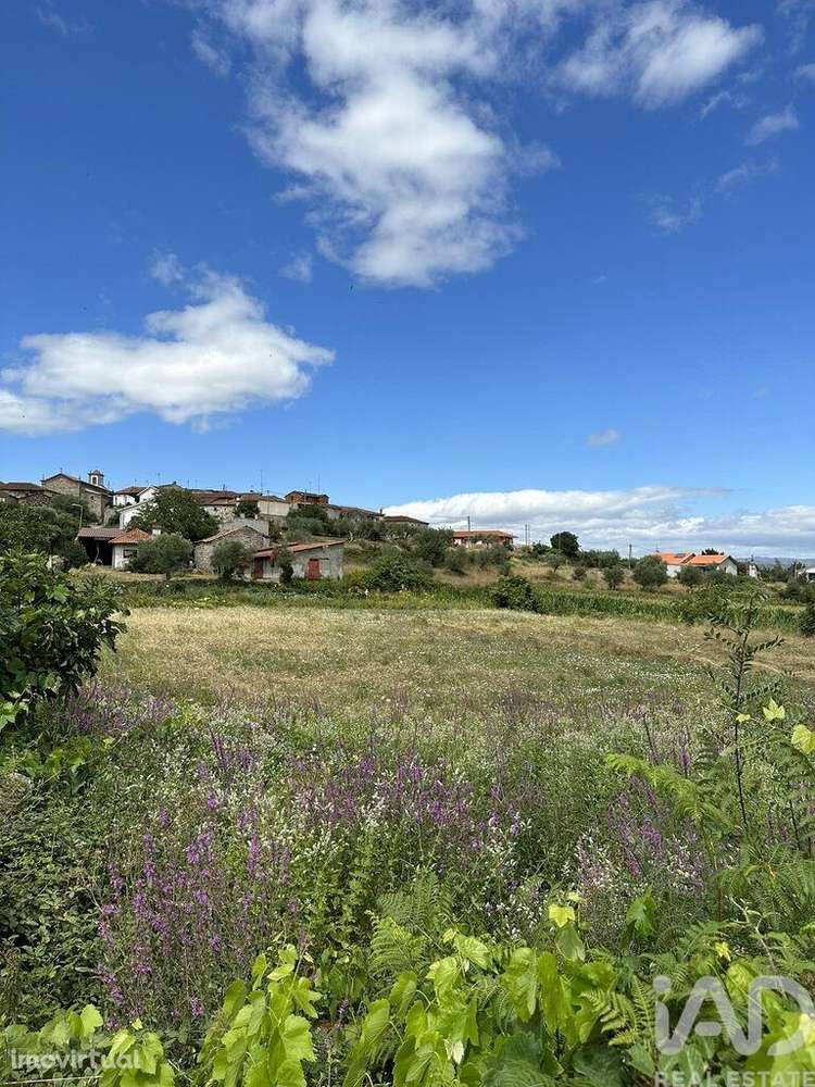 Terreno para construção em Madalena e Samaiões de 4000,00 m2 - Grande imagem: 3/5