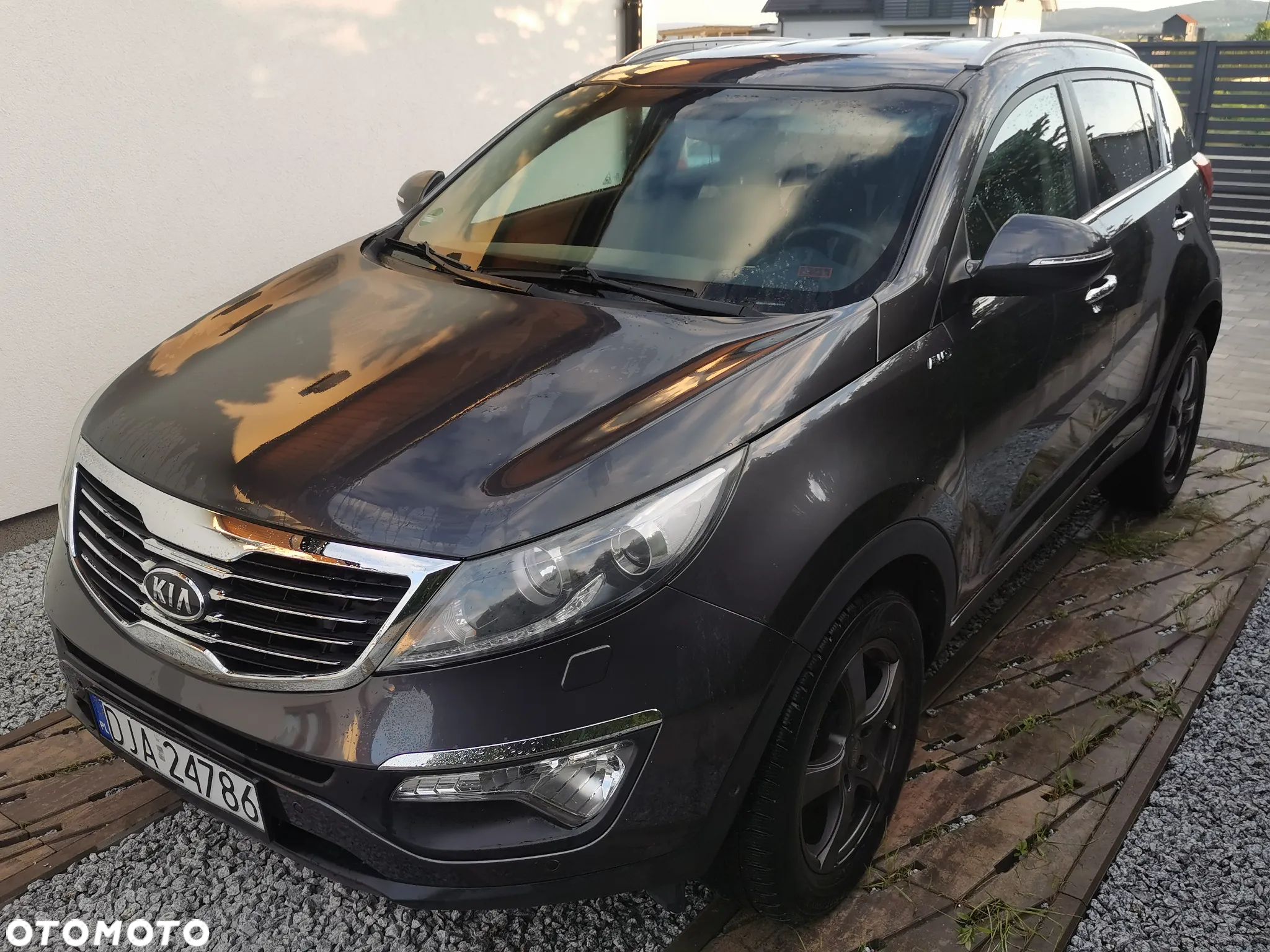 Kia Sportage - 1