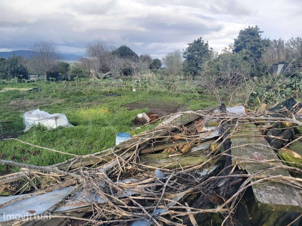 Terreno Urbanizável - Darque - Grande imagem: 3/5