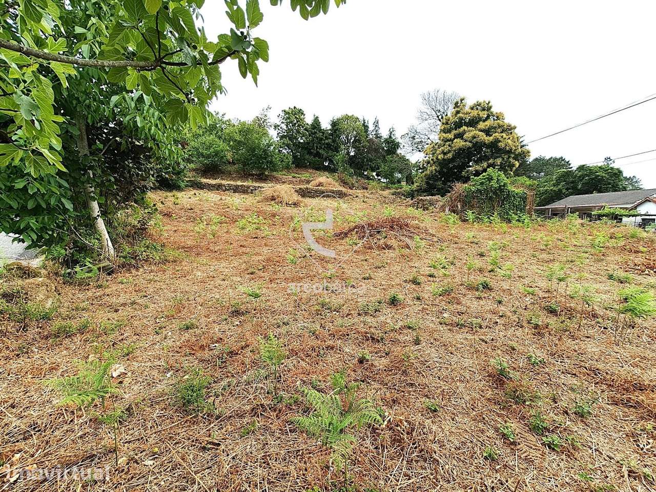 Terreno em zona de expansão urbana e duas  ruinas (habitação) - Formar - Grande imagem: 5/7