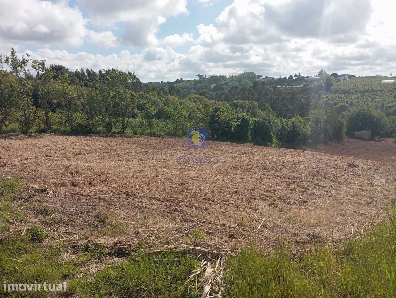 Terreno com 4.920m2, com PDM de Construção, em Zona Calma e com uma Ex - Grande imagem: 3/8