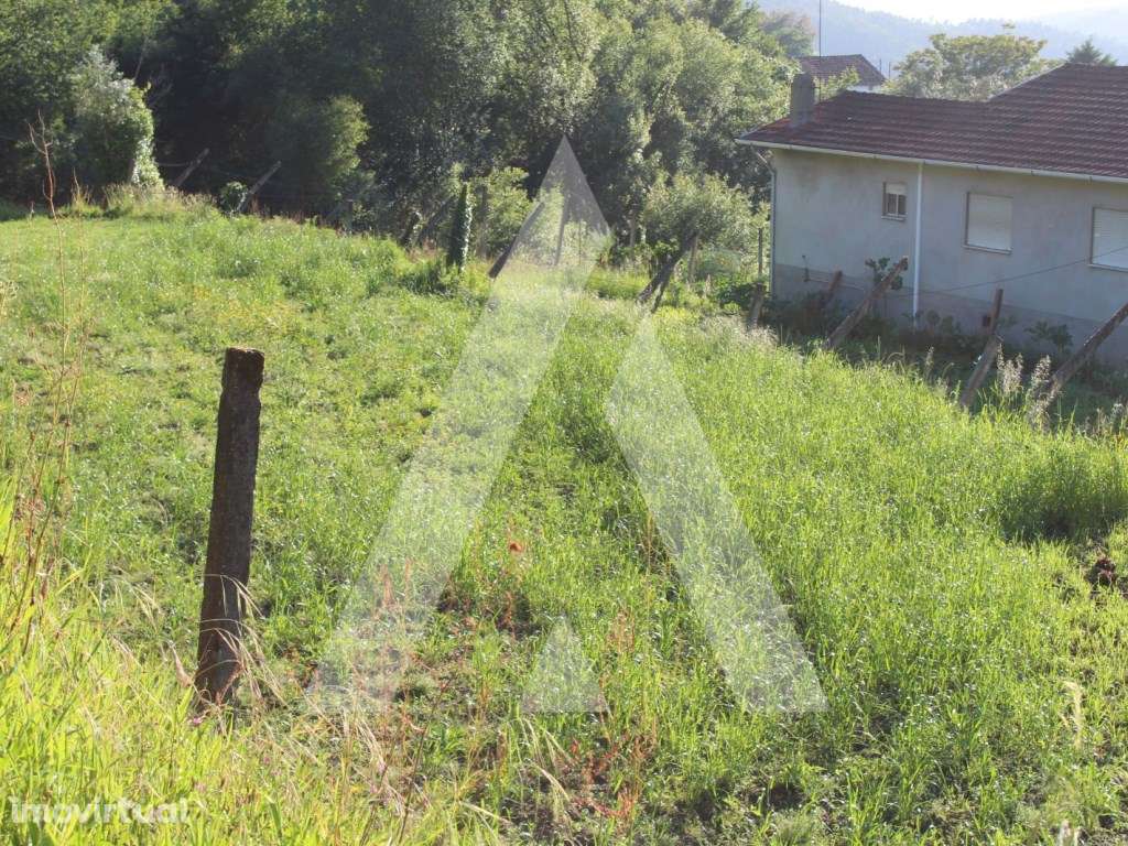 Terreno para construção em Paradela - Sever do Vouga - Grande imagem: 4/10