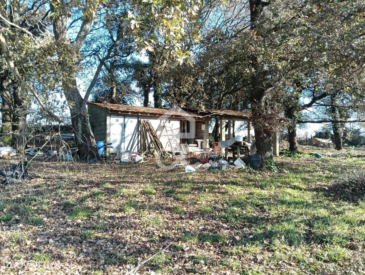 Terreno Agrícola em Bairro - Grande imagem: 2/16