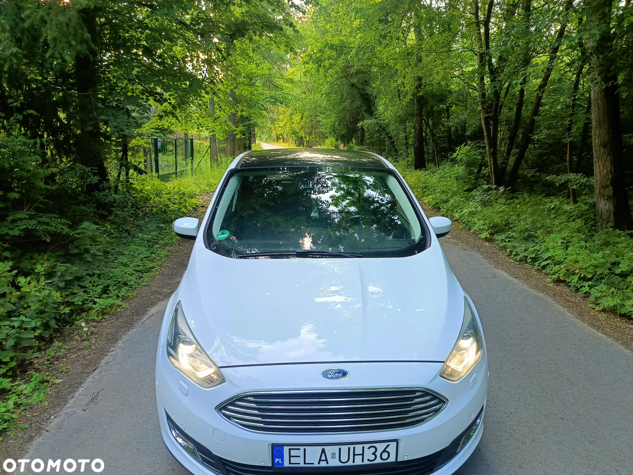 Ford C-MAX - 3