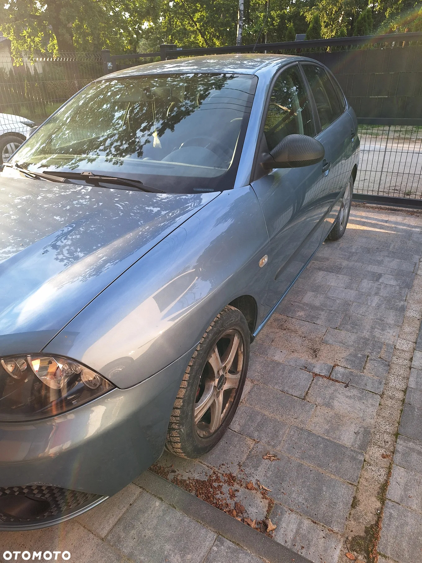 Seat Ibiza - 3