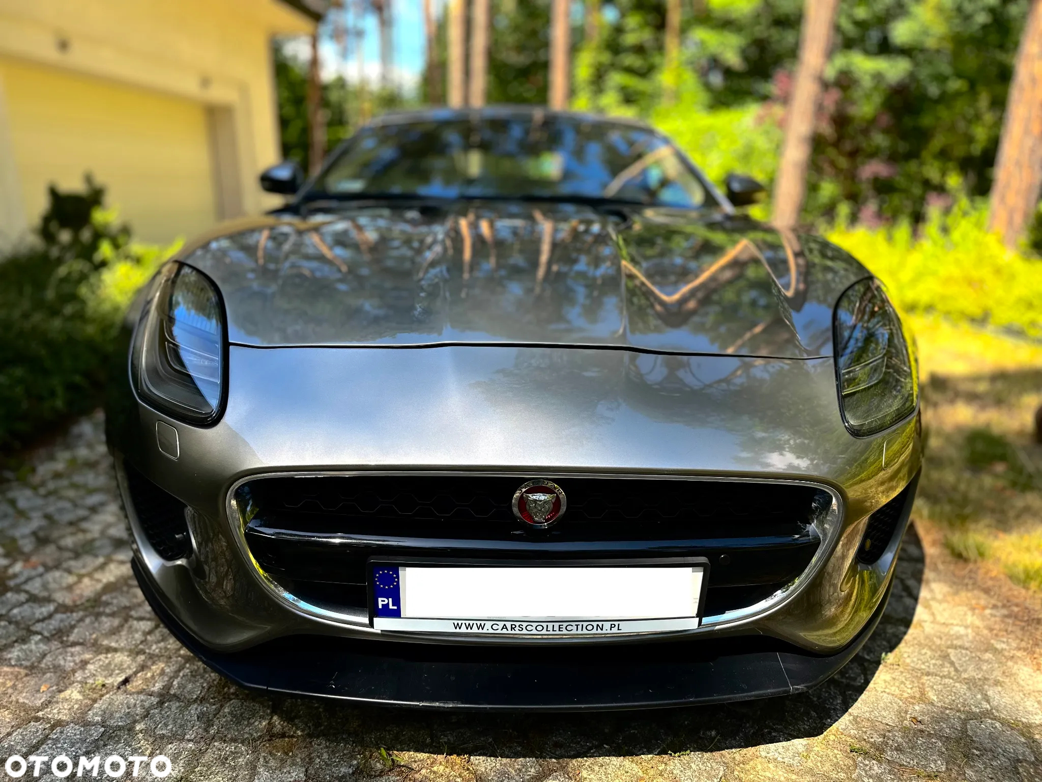 Jaguar F-Type 2.0 Turbo Chequered Flag - 6