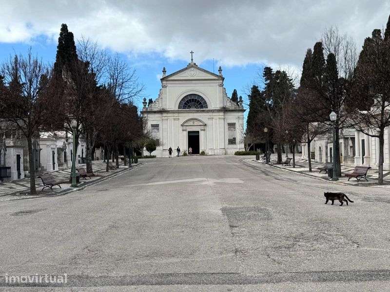 JAZIGO - Cemitério dos Prazeres - OPORTUNIDADE - Grande imagem: 2/8