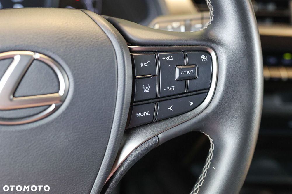 Lexus UX 250h GPF Business Edition 2WD - 30