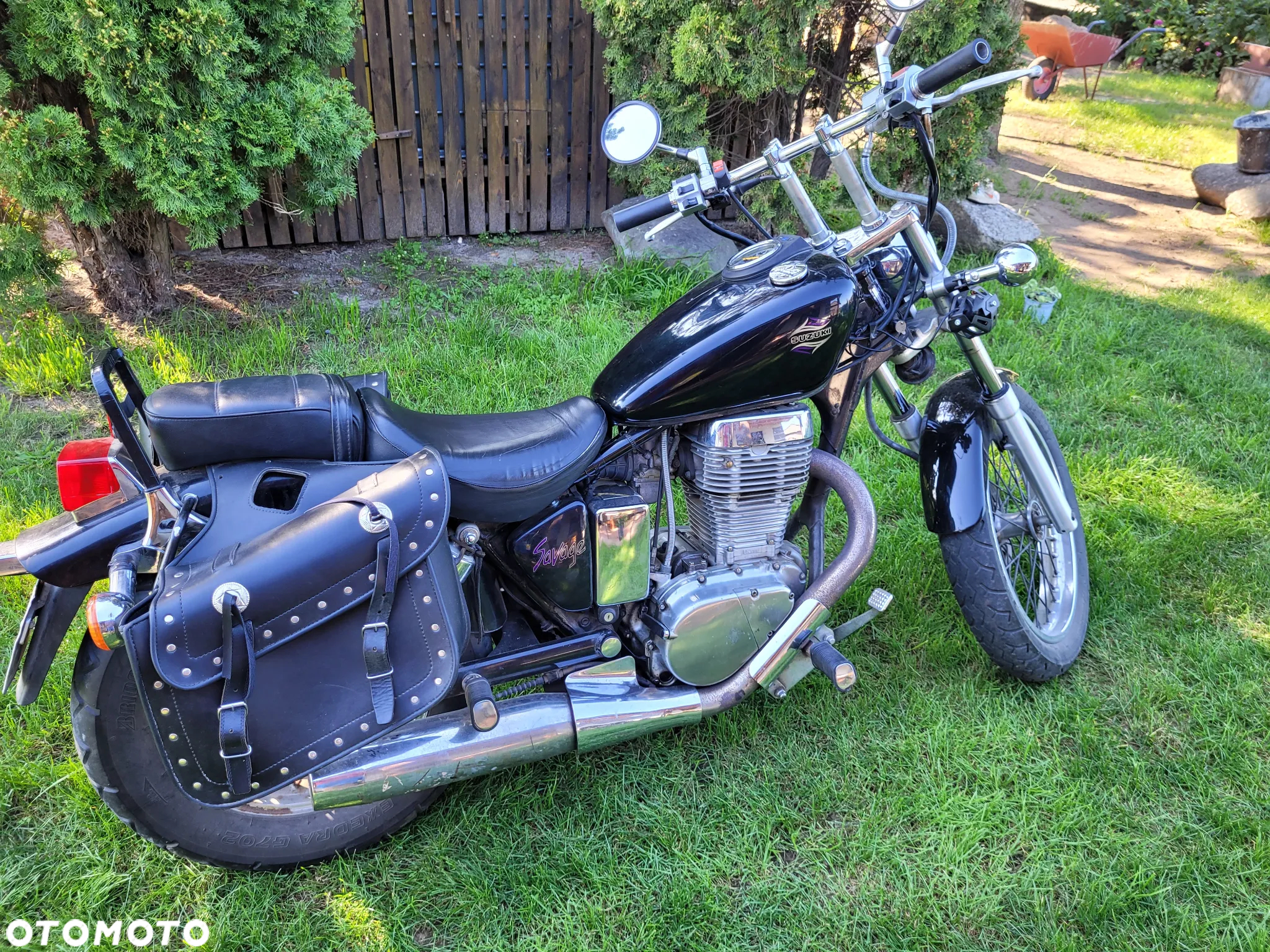 Suzuki Savage - 7