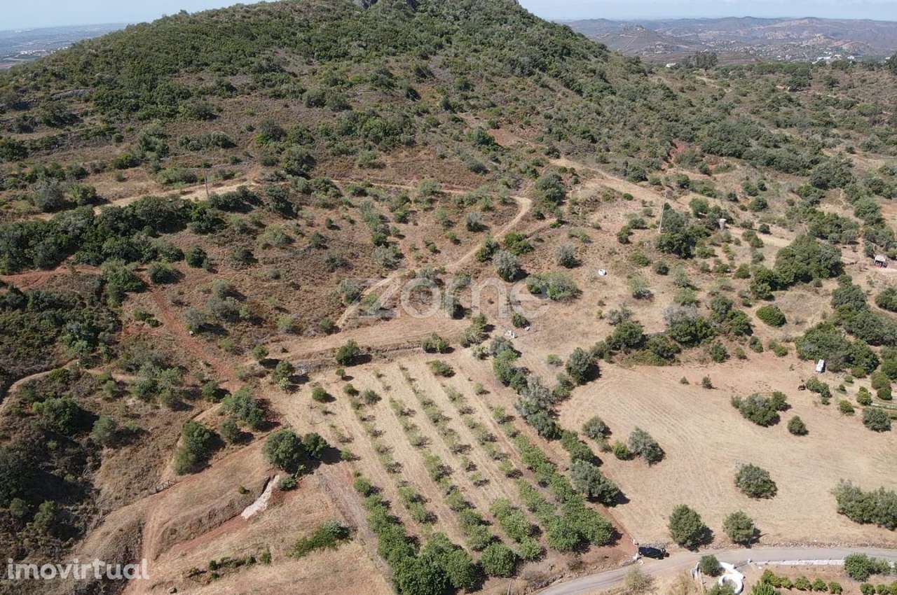 Terreno Rústico em Amorosa com poço de água e 27.160m2 de área - Grande imagem: 2/35