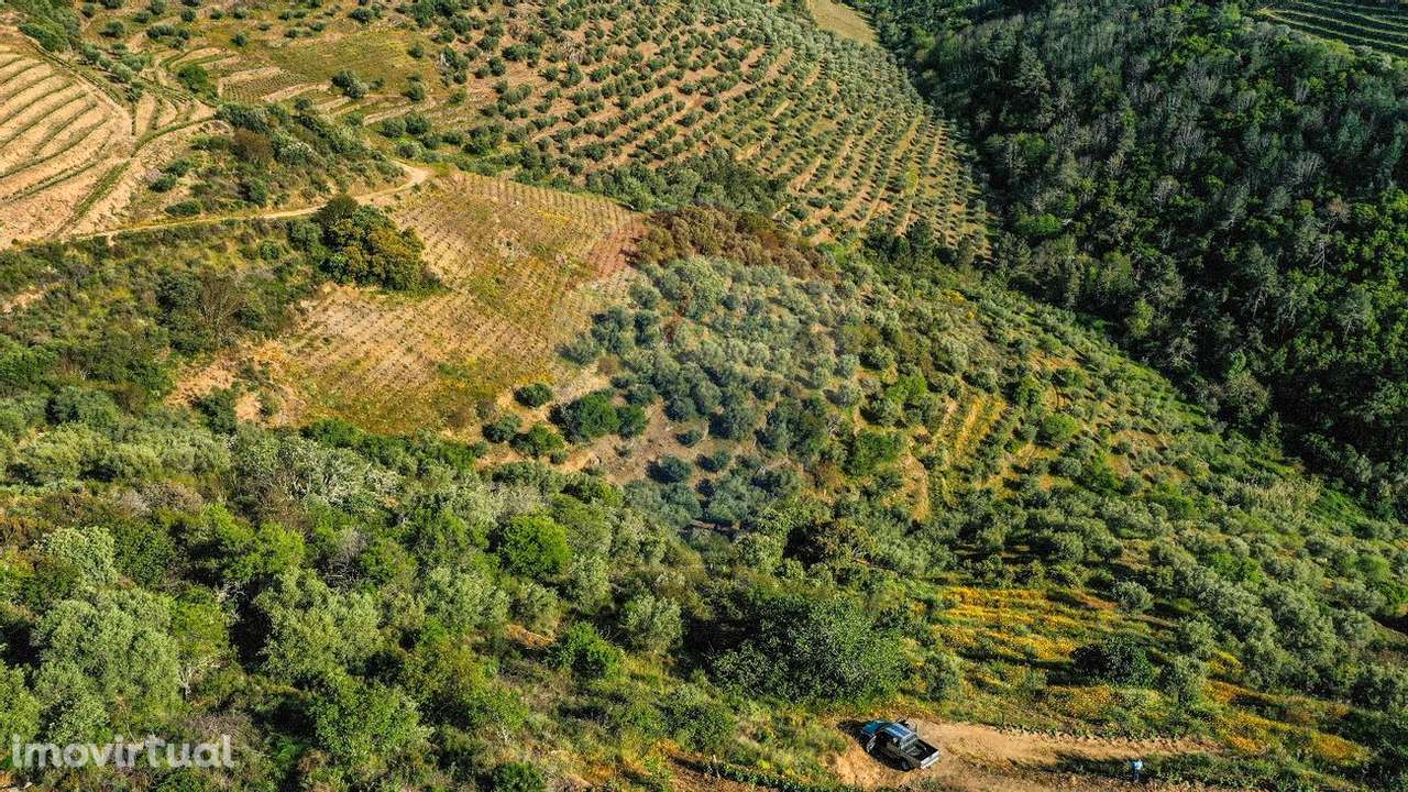 Terreno  para venda - Grande imagem: 2/10