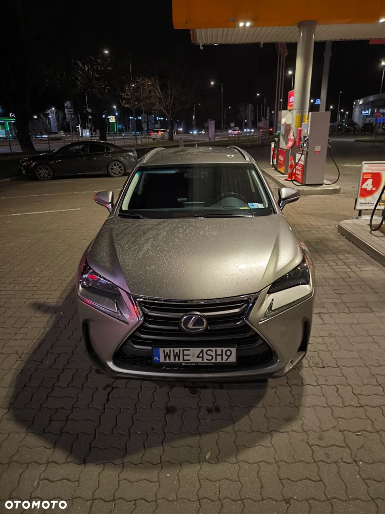 Lexus NX 300h Elite AWD - 19