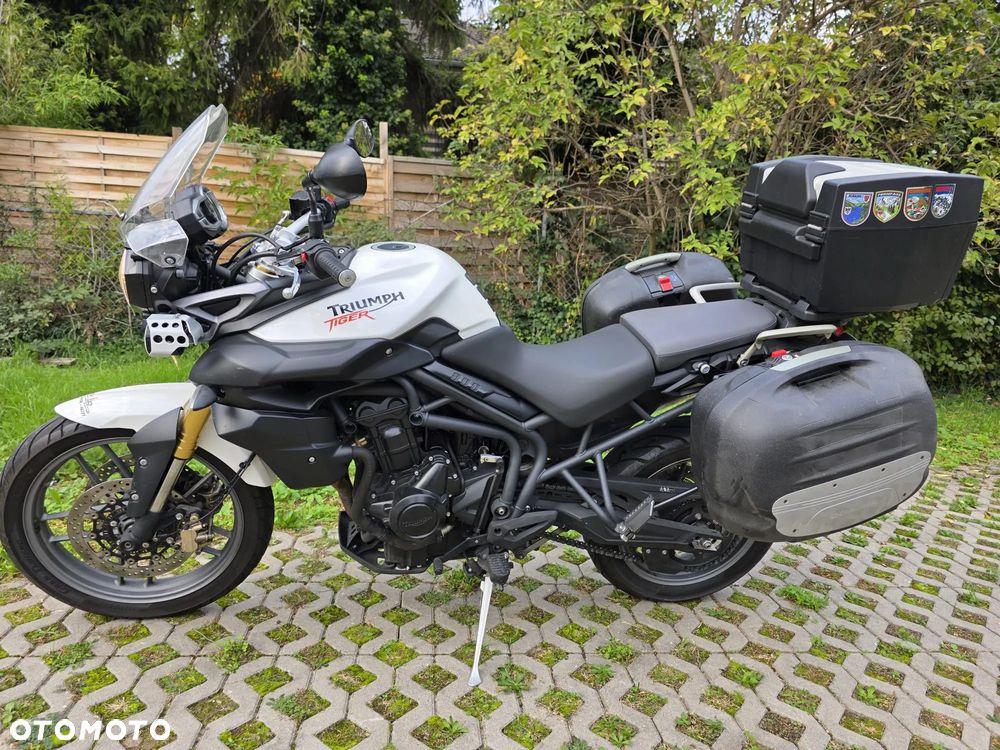 Triumph Tiger - 1