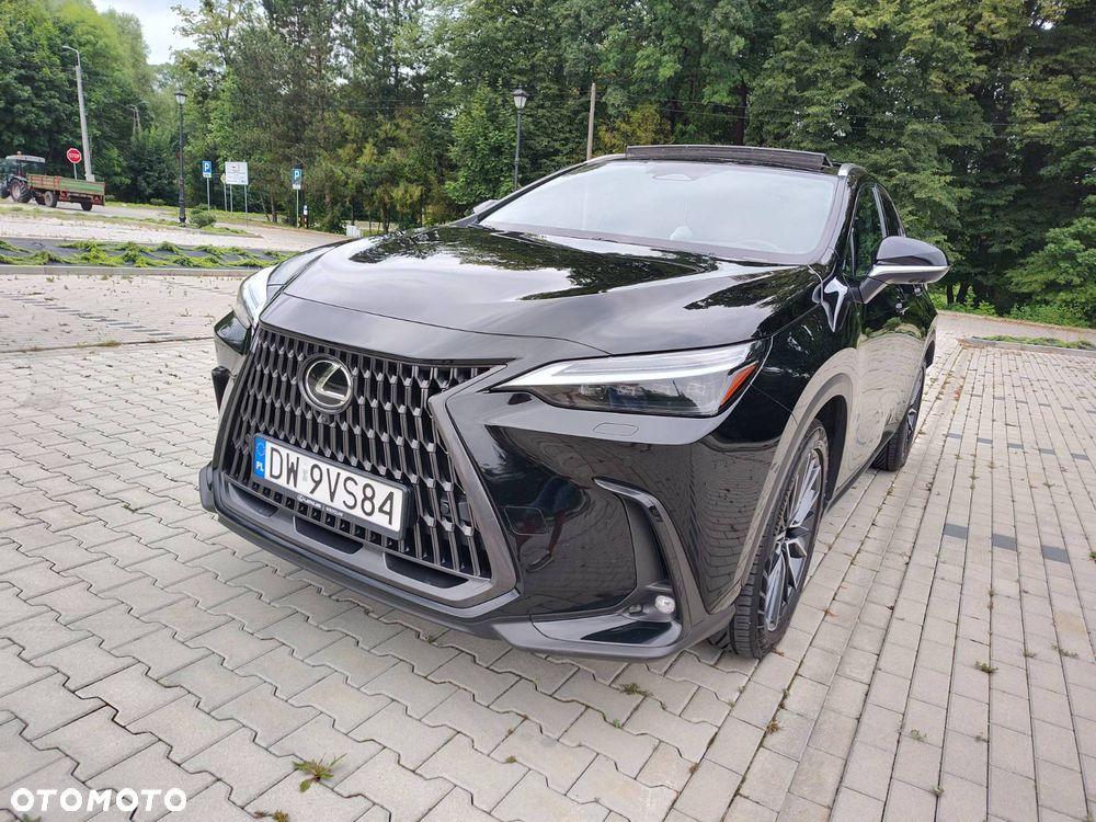 Lexus NX - 11