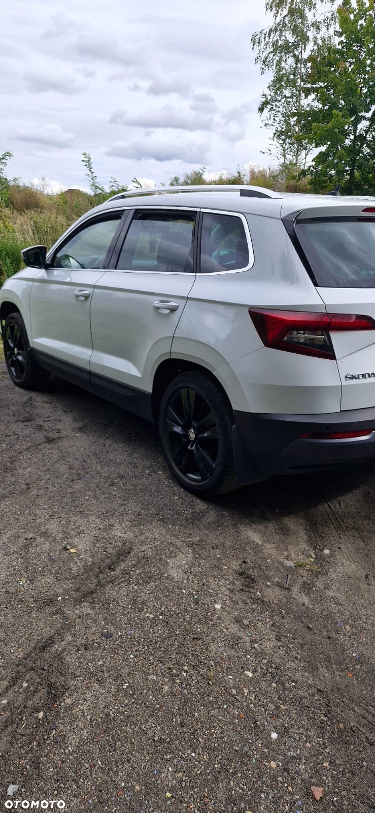 Skoda Karoq 1.6 TDI 4x2 Ambition DSG - 5