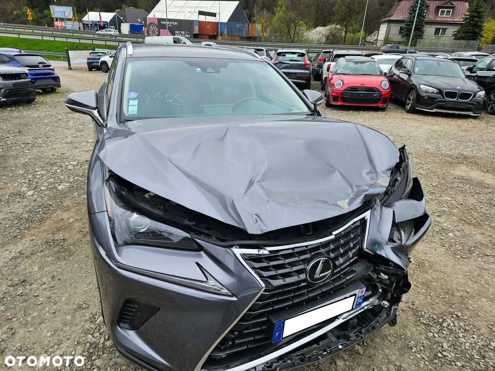 Lexus NX 300h Elite AWD - 14