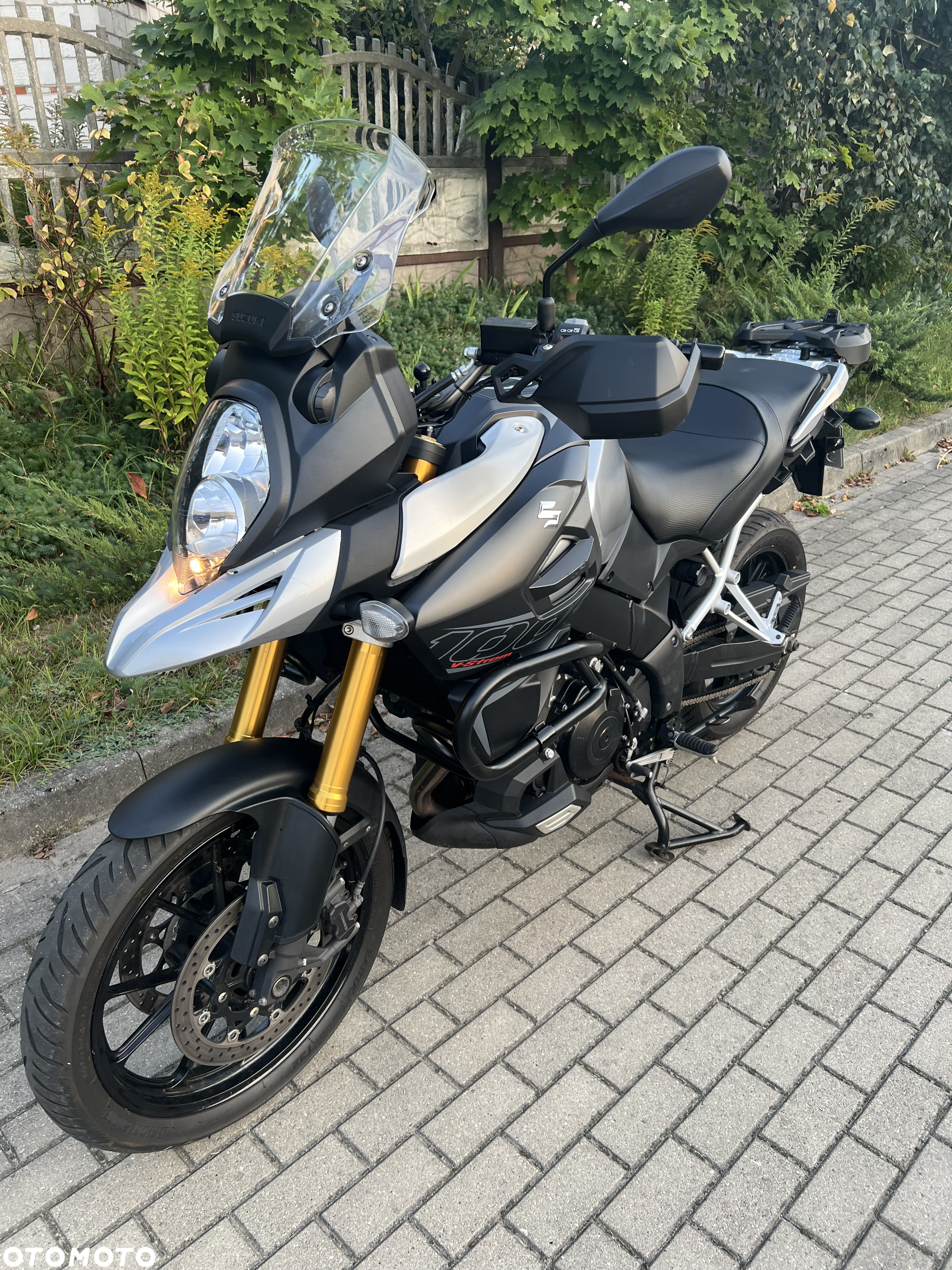 Suzuki DL - 9