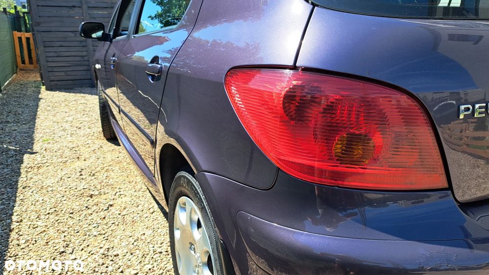 Peugeot 307 HDi 90 Grand Filou - 12