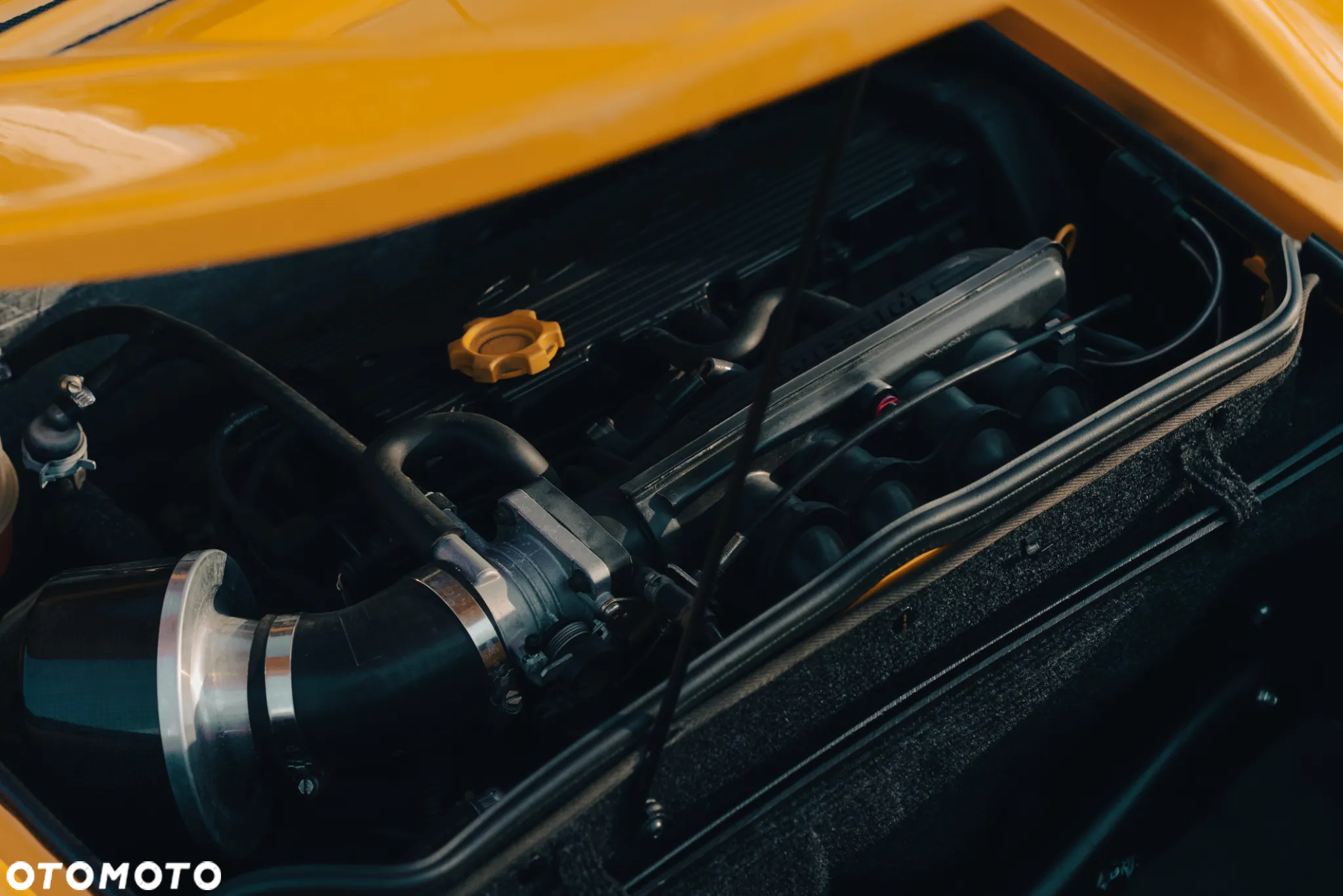 Lotus Elise Standard - 30